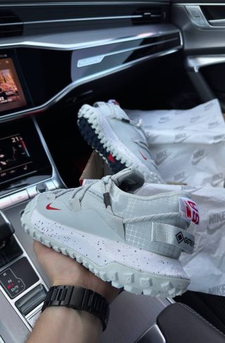 Nike ACG Mountain Fly Low Grey