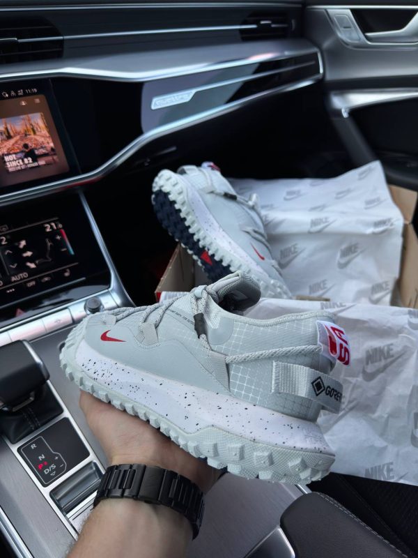 Nike ACG Mountain Fly Low Grey