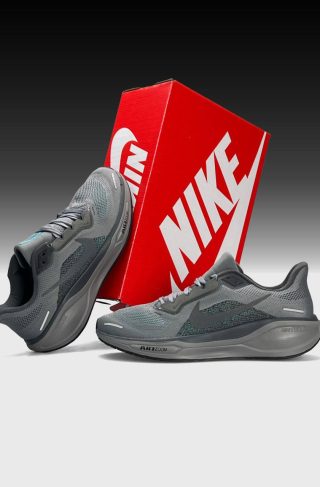 Nike Air Zoom Pegasus 41 Grey